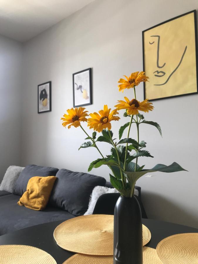 Apartament No82 Yellow Holiday Home ザトル エクステリア 写真